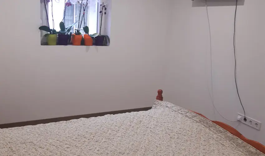 Tulip�nos Vend�gh�z �r - Augusztus 20.