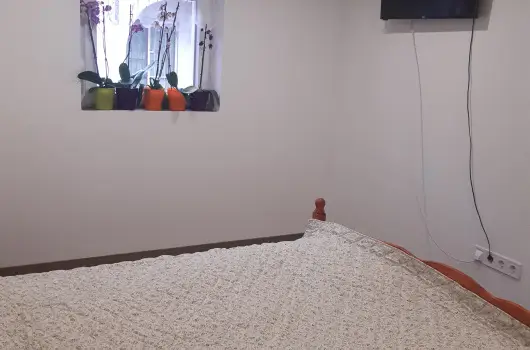 Tulip�nos Vend�gh�z - Augusztus 20.