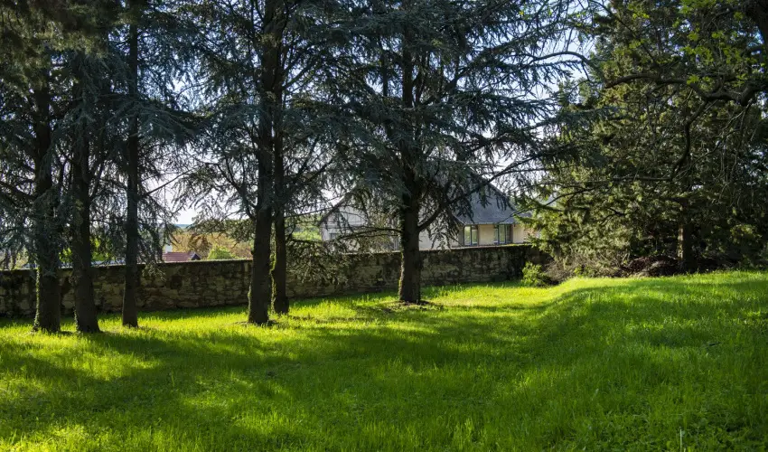 T�nd�rkert Hotel Noszvaj - Augusztus 20.