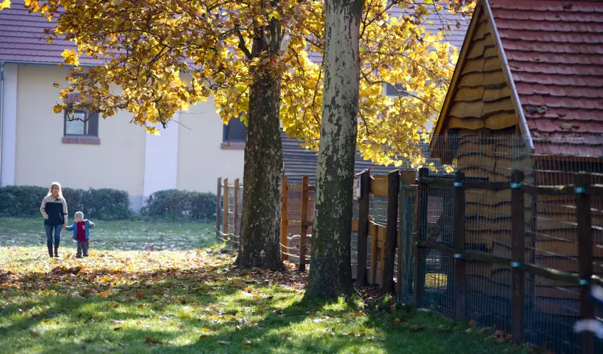 Vadkert Major S�rv�r - Augusztus 20.