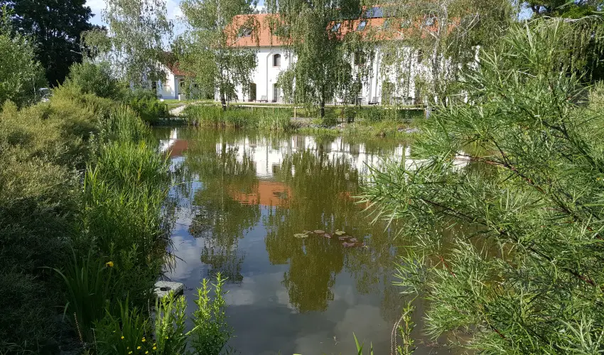 Vadkert Major S�rv�r - Augusztus 20.