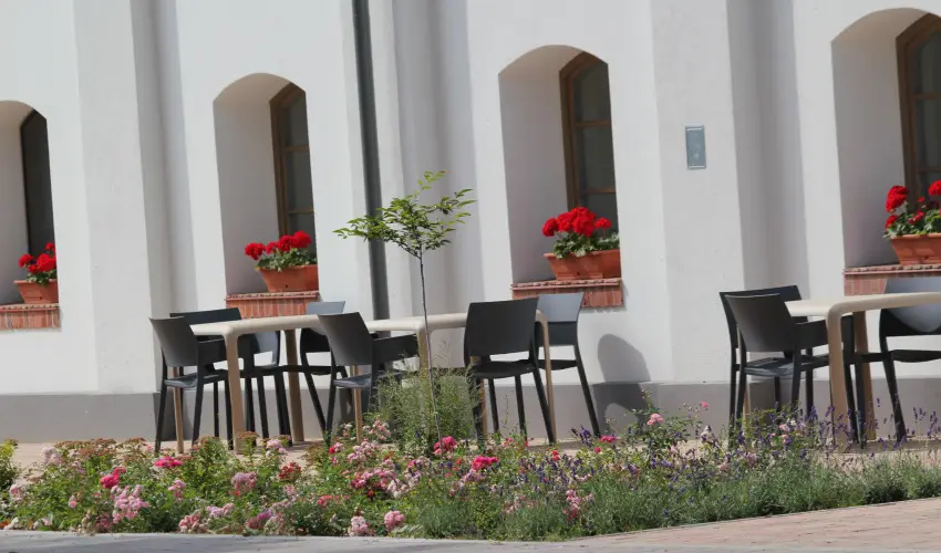 Vadkert Major S�rv�r - Augusztus 20.