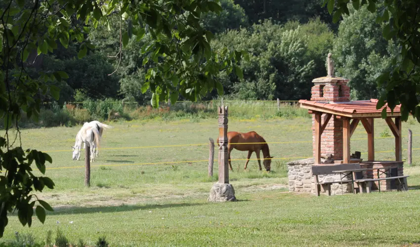 Vadkert Major S�rv�r - Augusztus 20.