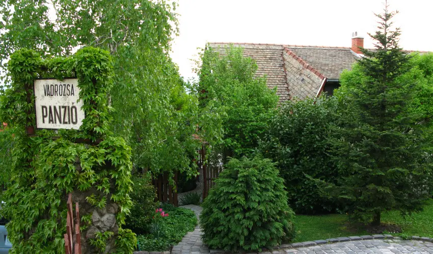 Vadr�zsa Vend�gh�z Szentendre - Augusztus 20. (min. 2 �j)