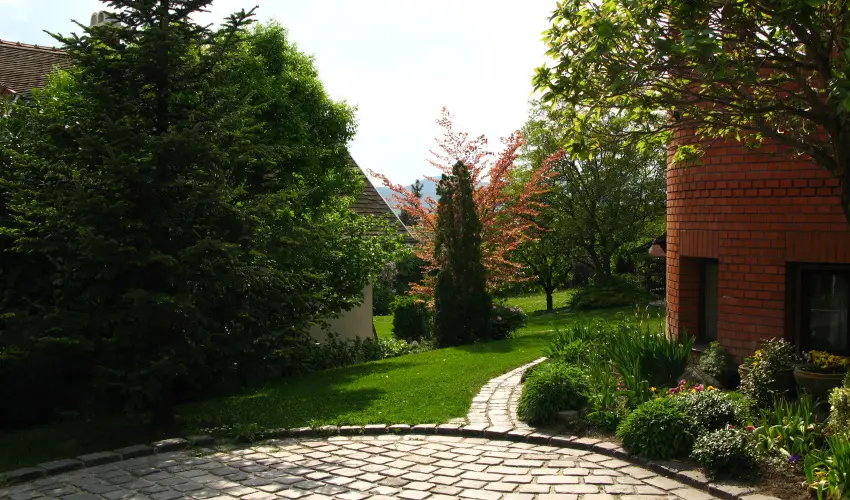 Vadr�zsa Vend�gh�z Szentendre - Augusztus 20. (min. 2 �j)
