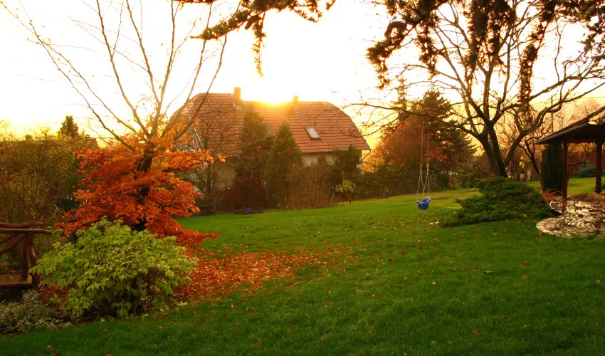 Vadr�zsa Vend�gh�z Szentendre - Augusztus 20. (min. 2 �j)