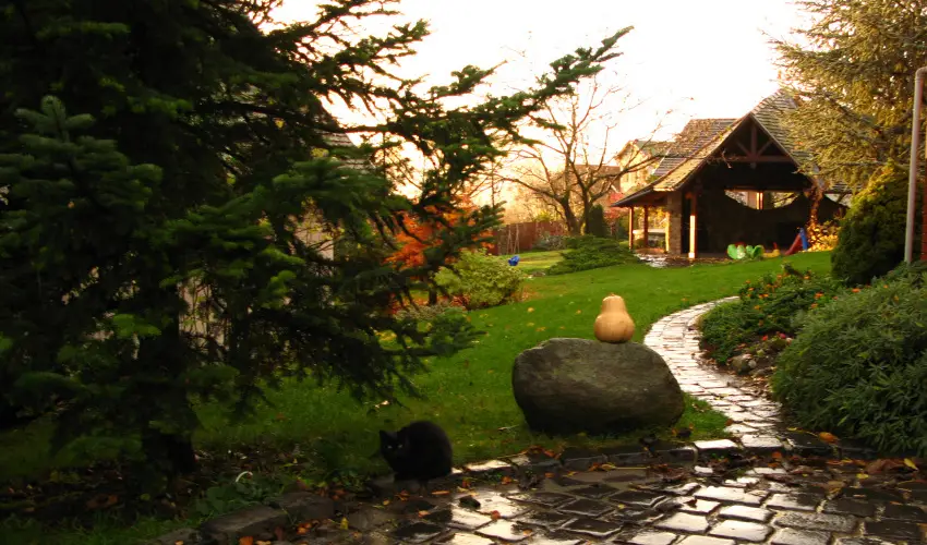 Vadr�zsa Vend�gh�z Szentendre - Augusztus 20. (min. 2 �j)