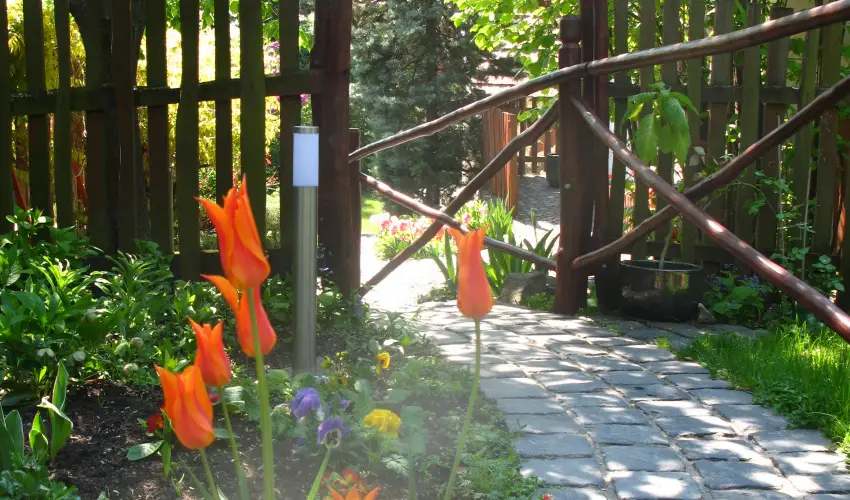 Vadr�zsa Vend�gh�z Szentendre - Augusztus 20. (min. 2 �j)