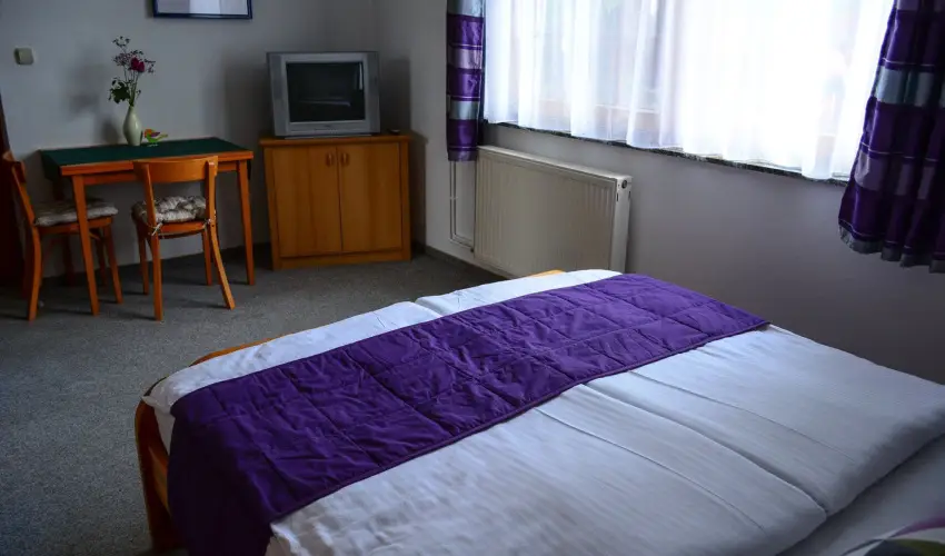 Vadr�zsa Vend�gh�z Szentendre - Augusztus 20. (min. 2 �j)