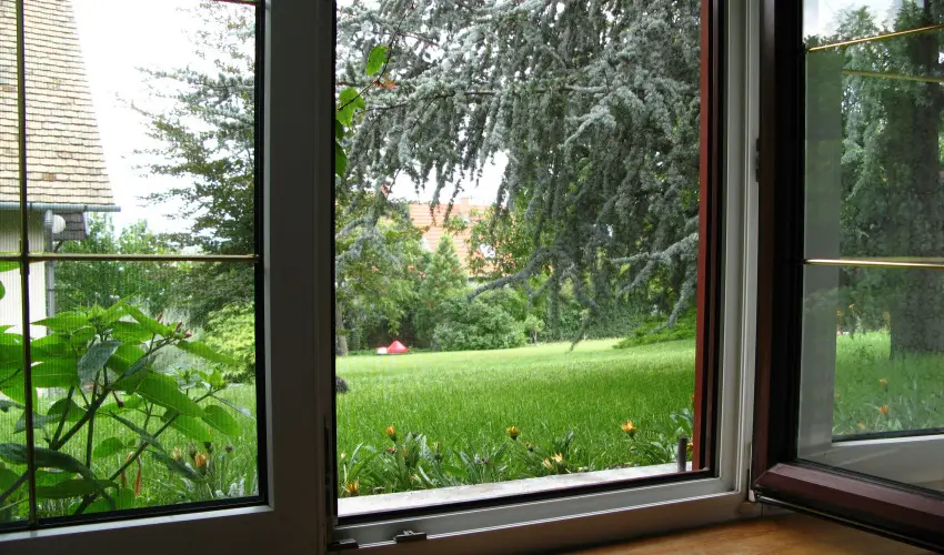 Vadr�zsa Vend�gh�z Szentendre - Augusztus 20. (min. 2 �j)