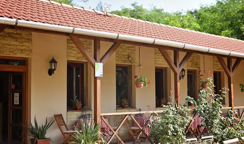 Vr Camping Sirok - Augusztus 20.