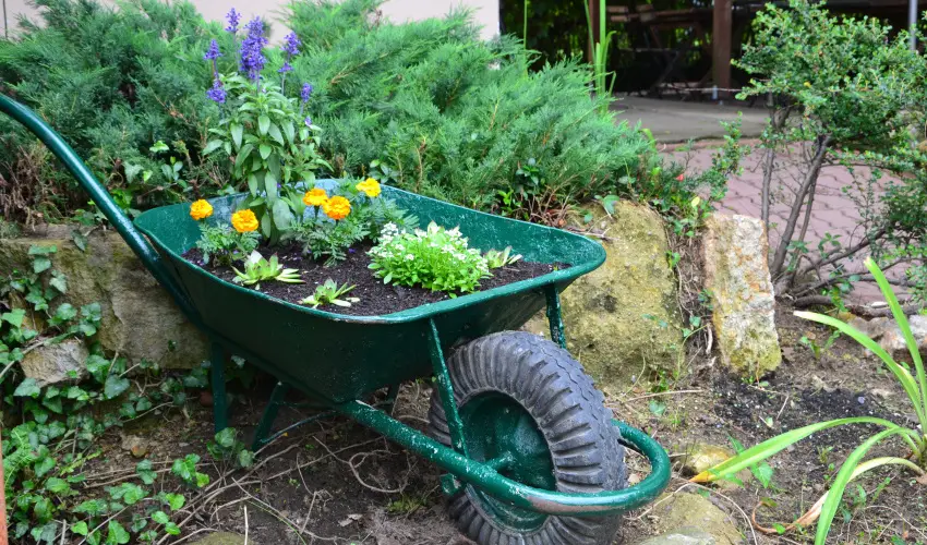 Vr Camping Sirok - Augusztus 20.