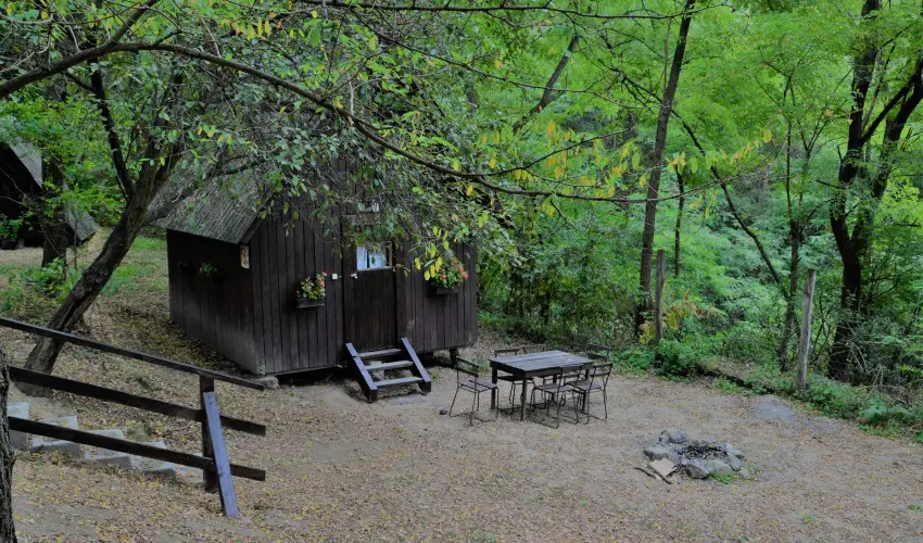 Vr Camping Sirok - Augusztus 20.