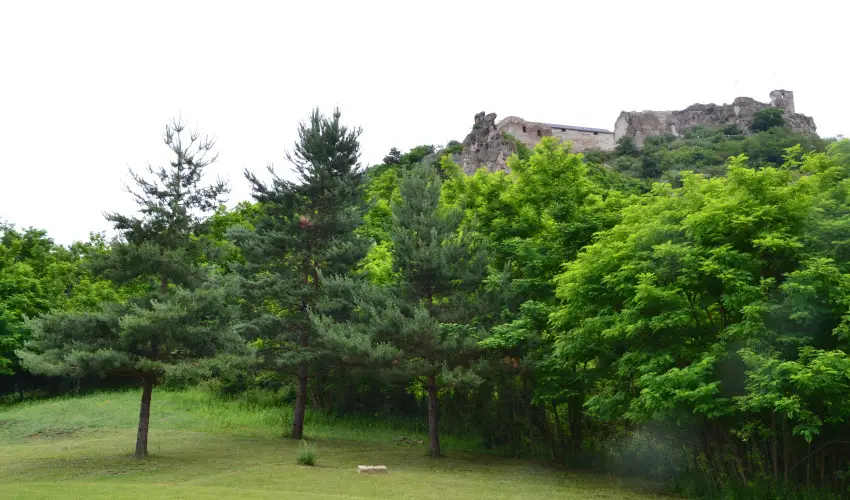 Vr Camping Sirok - Augusztus 20.