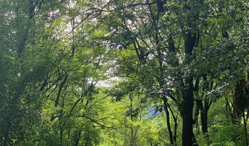 Vr Camping Sirok - Augusztus 20.