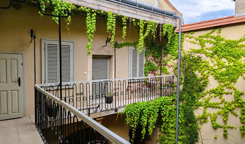 V�rosi Vend�gh�z Szentendre Szentendre - Augusztus 20.