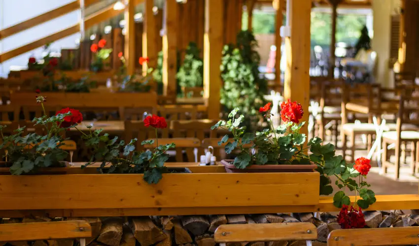 Viktor Bor- s Vendghz Balatonmriafrd - Augusztus 20.