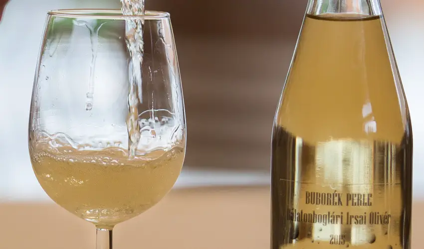 Viktor Bor- s Vendghz Balatonmriafrd - Augusztus 20.