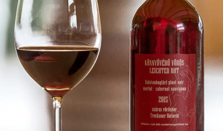 Viktor Bor- s Vendghz Balatonmriafrd - Augusztus 20.