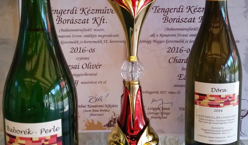 Viktor Bor- s Vendghz Balatonmriafrd - Augusztus 20.