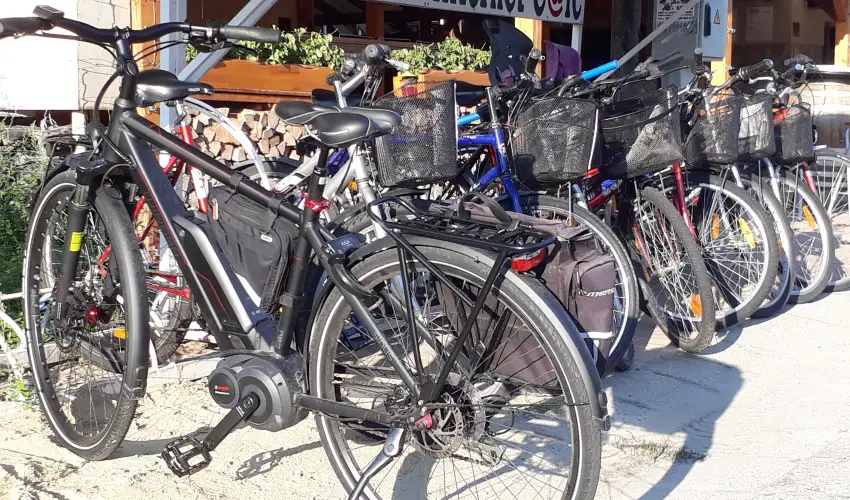 Viktor Bor- s Vendghz Balatonmriafrd - Augusztus 20.