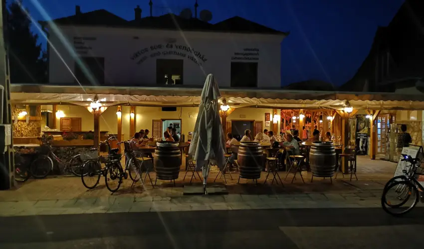 Viktor Bor- s Vendghz Balatonmriafrd - Augusztus 20.