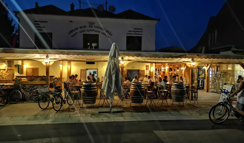 Viktor Bor- s Vendghz Balatonmriafrd - Augusztus 20.