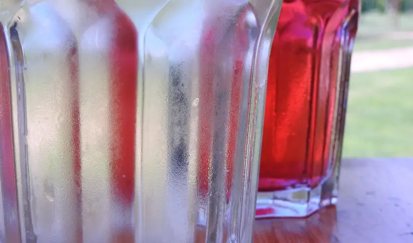 Viktor Bor- s Vendghz Balatonmriafrd - Augusztus 20.