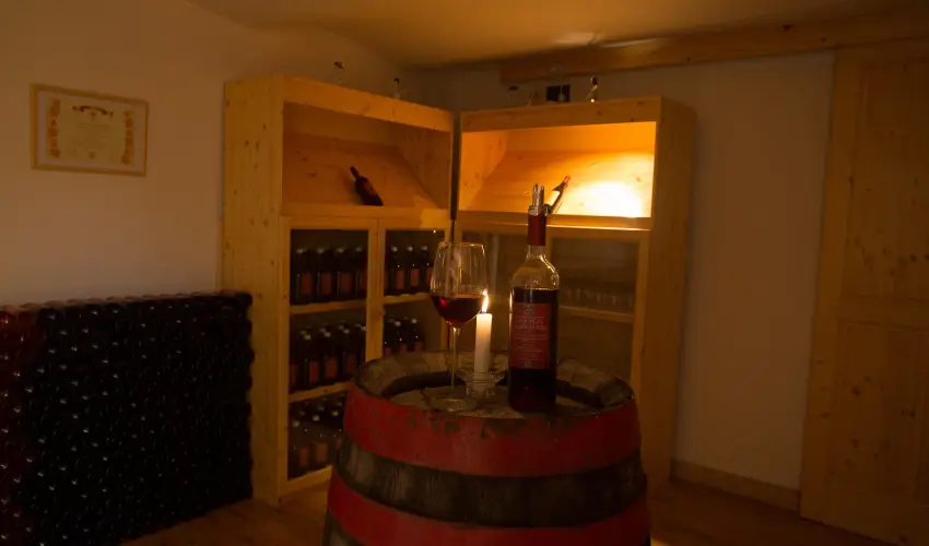 Viktor Bor- s Vendghz Balatonmriafrd - Augusztus 20.