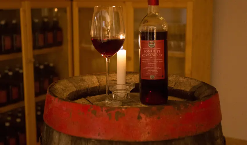 Viktor Bor- s Vendghz Balatonmriafrd - Augusztus 20.