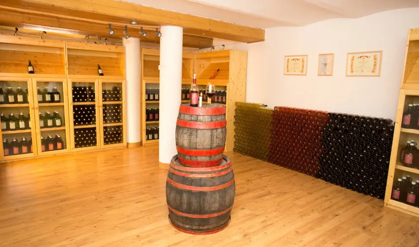 Viktor Bor- s Vendghz Balatonmriafrd - Augusztus 20.