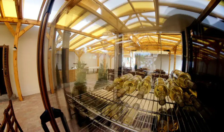 Viktor Bor- s Vendghz Balatonmriafrd - Augusztus 20.