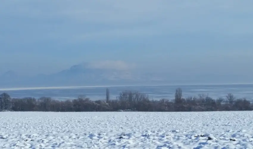 Viktor Bor- s Vendghz Balatonmriafrd - Augusztus 20.
