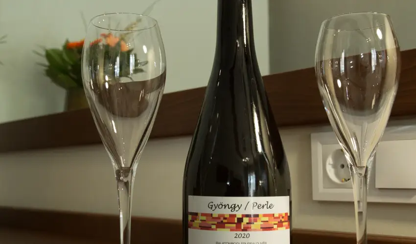 Viktor Bor- s Vendghz Balatonmriafrd - Augusztus 20.