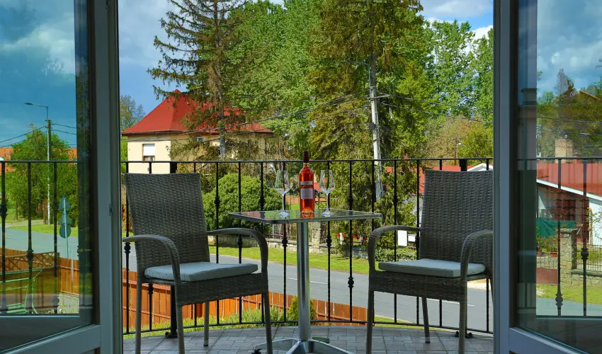 Viktor Bor- s Vendghz Balatonmriafrd - Augusztus 20.