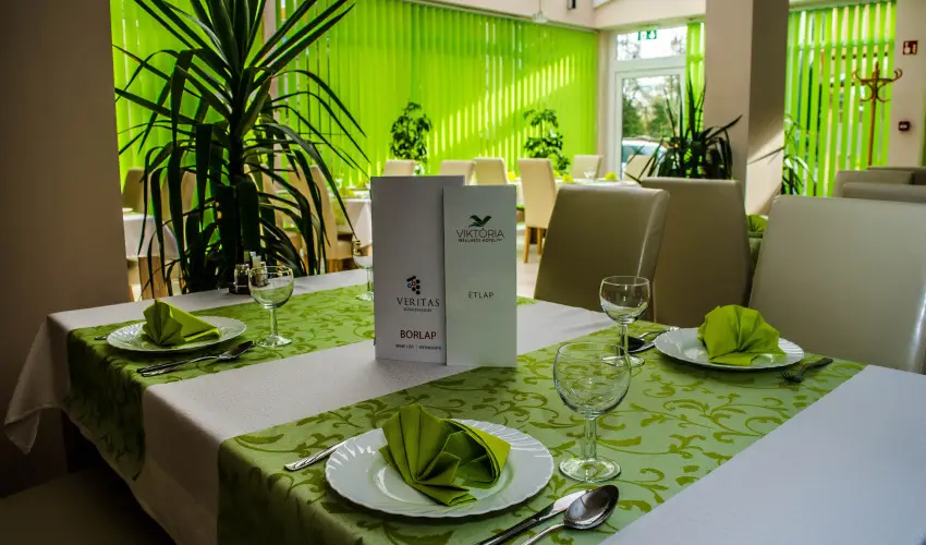 Wellness Hotel Vikt�ria Nagyat�d - Augusztus 20.