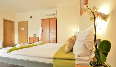 Wellness Hotel Vikt�ria Nagyat�d