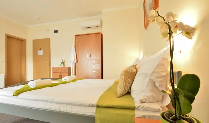 Wellness Hotel Vikt�ria Nagyat�d - Augusztus 20.