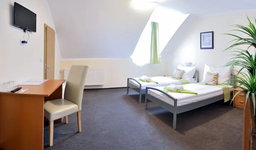 Wellness Hotel Vikt�ria Nagyat�d - Augusztus 20.
