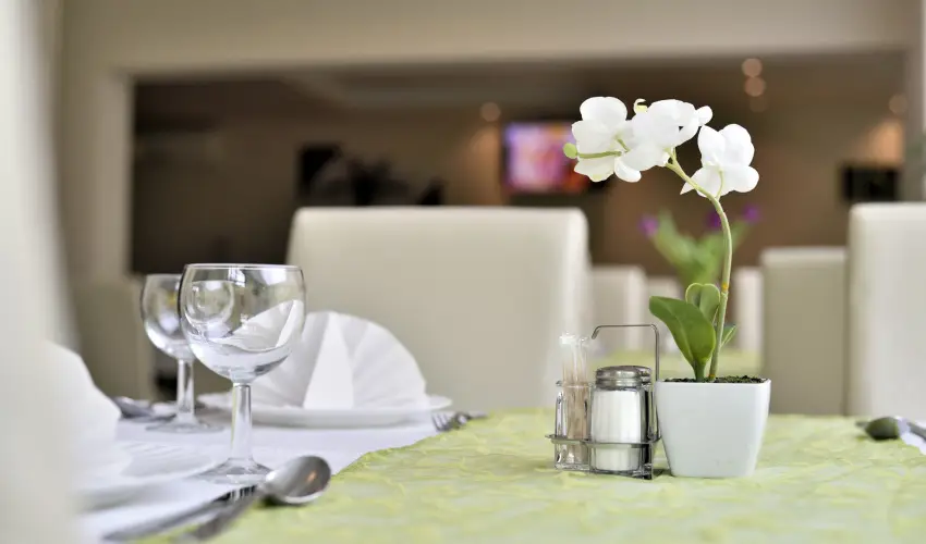 Wellness Hotel Vikt�ria Nagyat�d - Augusztus 20.