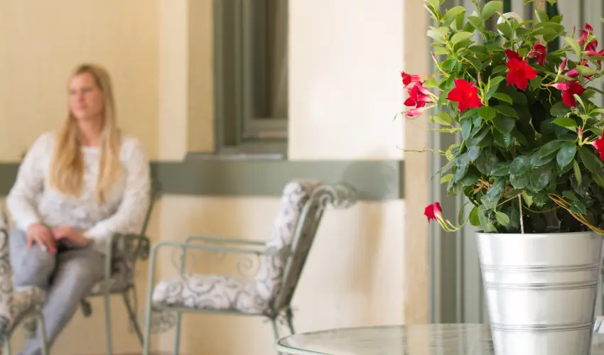 Villa Oliva Boutique Rooms Zamárdi - Augusztus 20. (min. 3 éj)