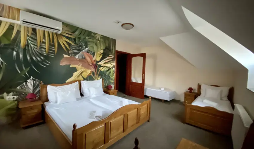 Hotel Villa Park Szilv�sv�rad - Augusztus 20.