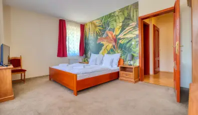 Hotel Villa Park Szilv�sv�rad