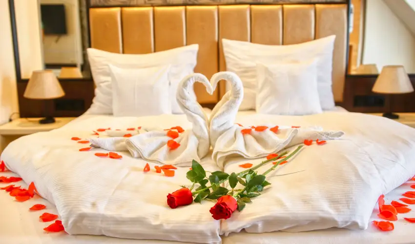 Hotel Villa Park Szilv�sv�rad - Augusztus 20.