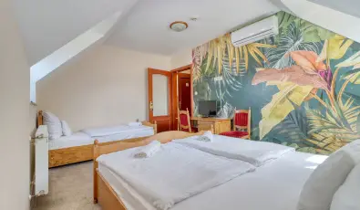 Hotel Villa Park Szilv�sv�rad