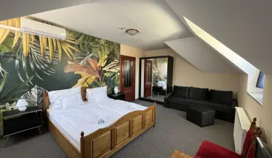 Hotel Villa Park Szilv�sv�rad