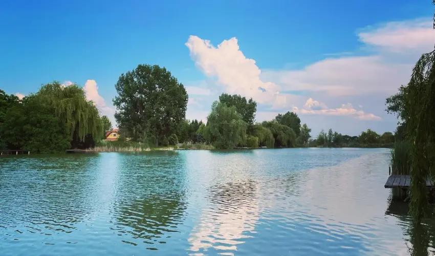 Virg dlhz Szarvas - Augusztus 20.