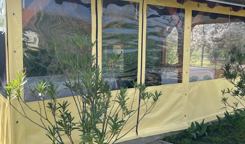 Virg dlhz Szarvas - Augusztus 20.