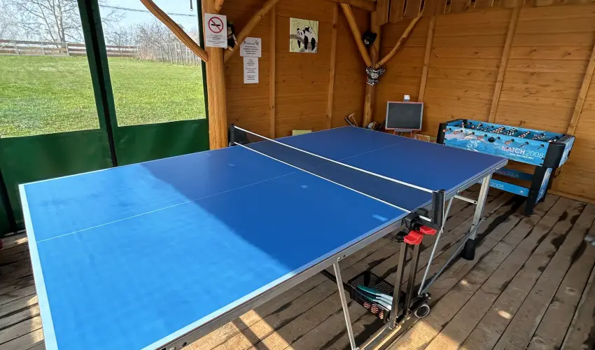 Virg dlhz Szarvas - Augusztus 20.