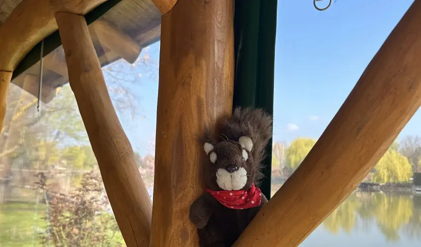 Virg dlhz Szarvas - Augusztus 20.